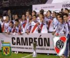 River Plate, şampiyon Torneo Final Arjantinn 2014